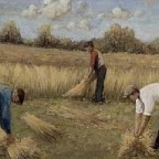 Pulling flax и Retting the flax