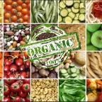 Подтвердить звание «Organic food»