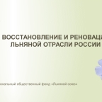 О стратегических мерах по восстановлению и реновации льняного комплекса России