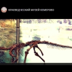 Страховка для сибирского пситтакозавра