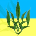 Украинская лицензия для орегонских коноплеводов