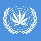 Голосование в ООН по каннабису