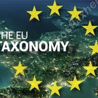 Карбоновая норма таксономии ЕС