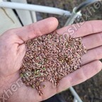 Как подготовить почву после уборки льна масличного