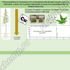 Фиторемедиация и валоризация почв, загрязненных Cu, с помощью Cannabis sativa (L.)
