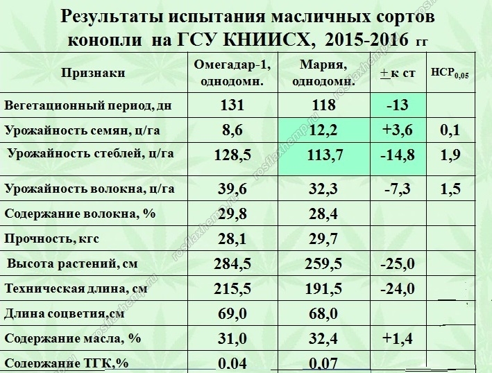 результаты испытания масличных сортов конопли Краснодарского НИИСХа, 