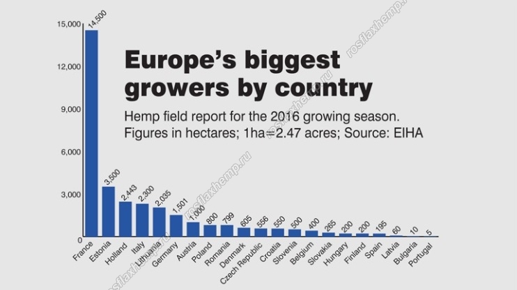 Конопля в европе сорокодневки семена конопли