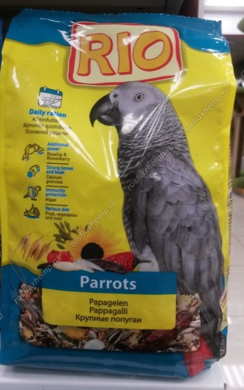 попугая кормят коноплей