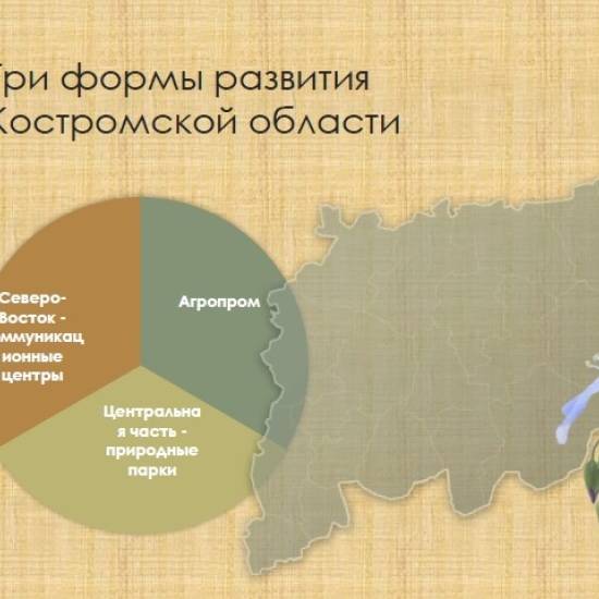 формы развития Костромской области