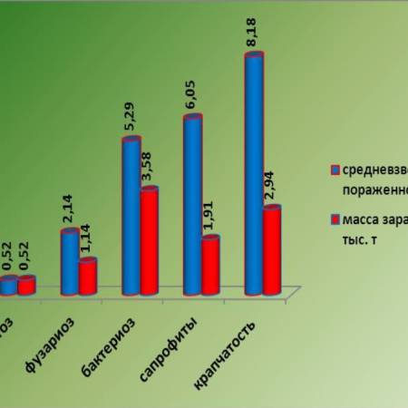 Средневзвешенный процент заражения семян льна основными патогенами и масса зараженных партий в Российской Федерации в 2014 г  