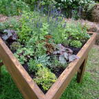 садовый столик с пряными и декоративными травами - часть сенсорного сада